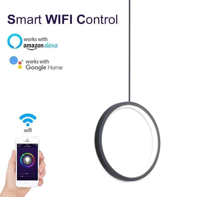 Lámpara colgante de anillo minimalista, luz decorativa de techo