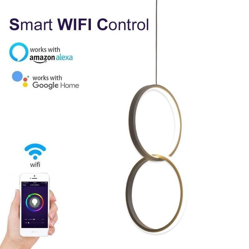 Lámpara colgante minimalista de doble anillo