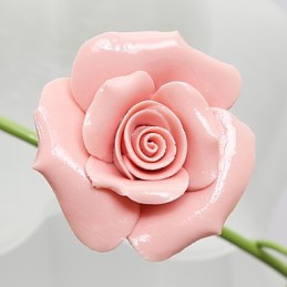 Día de San Valentín: Las flores y plantas del jardín de rosas absorben la luz del domo.