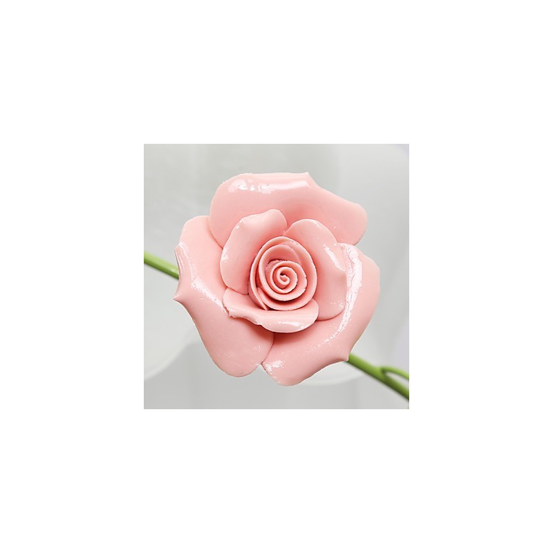 Día de San Valentín: Las flores y plantas del jardín de rosas absorben la luz del domo.