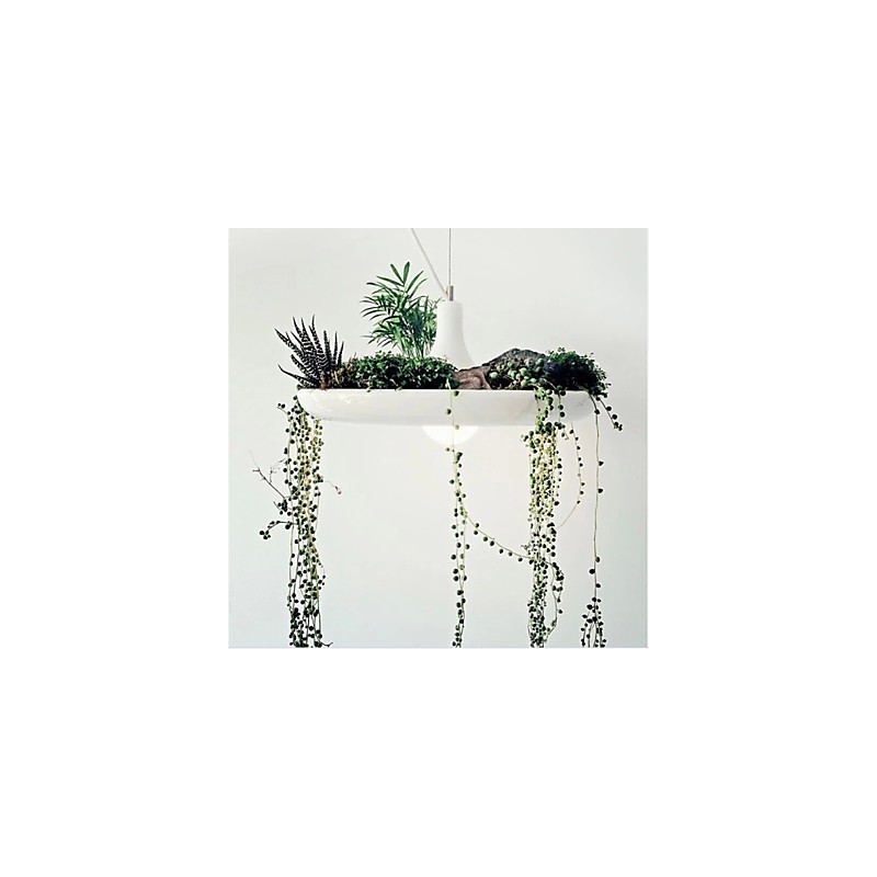 Lámpara colgante de aluminio nórdica creativa, estilo minimalista, para jardín, sin necesidad de tierra.
